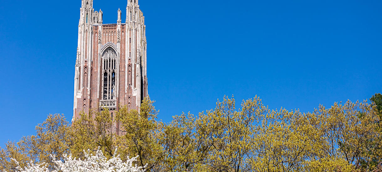 Picture of Wellesley tower, spring day, apple blossoms, blue sky.