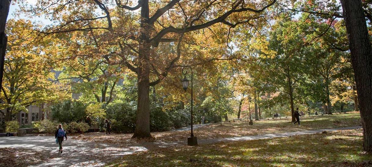 fall foliage with a few people walking around