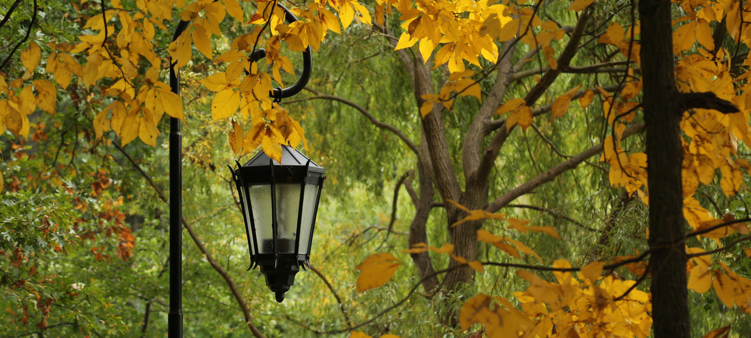 beauty shot of the campus