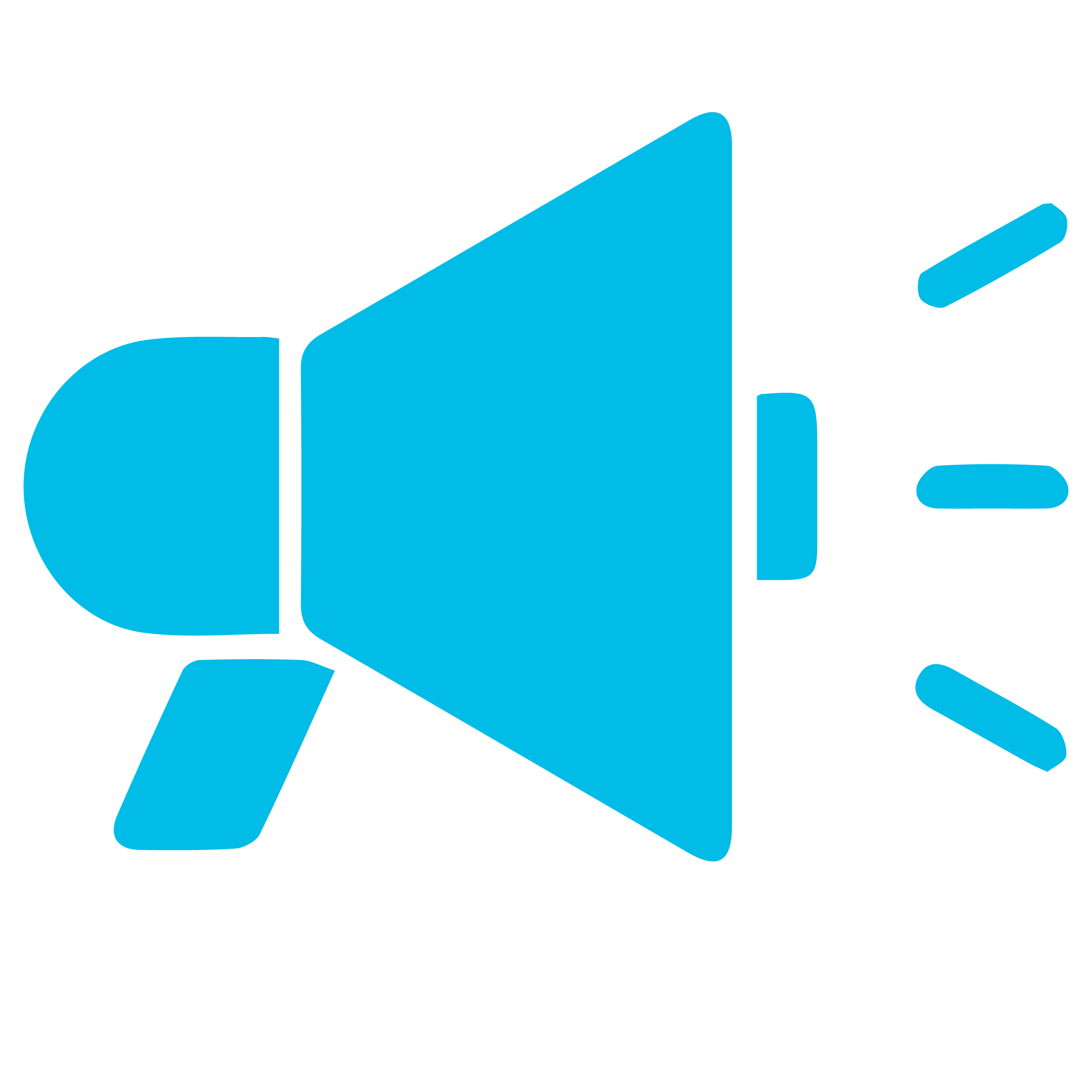 Megaphone