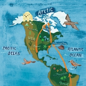 Flight to the Arctic