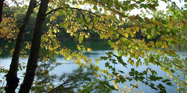 Walden Pond, Concord MA