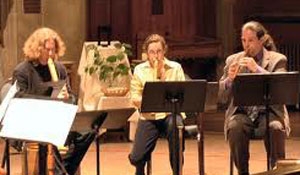 教师在Collegium Musicum中表演