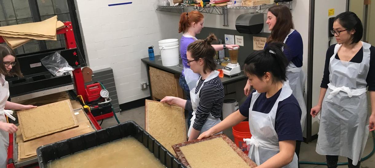 Phragmite paper making
