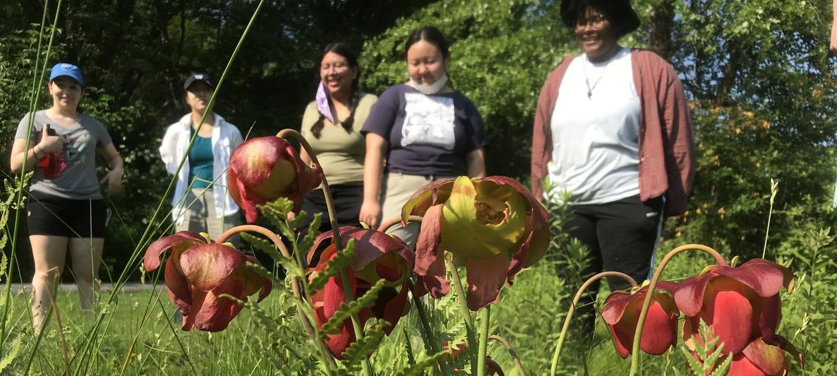 韦尔斯利的学生们带着盛开的猪笼草参观沼泽园