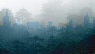 雾森林覆盖在城市景观的双重形象