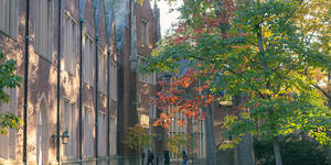 在秋季校园建筑