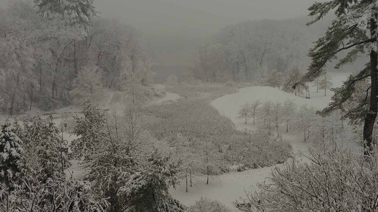 女校友谷在一条毯子里2016年的雪。